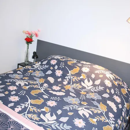 Studio Les Deux Grenouilles 5Mn De Colmar Herrlisheim-près-Colmar Extérieur photo