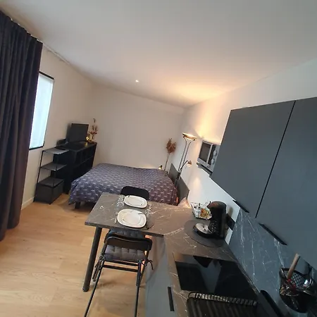 Studio Les Deux Grenouilles 5Mn De Colmar Herrlisheim-près-Colmar Extérieur photo
