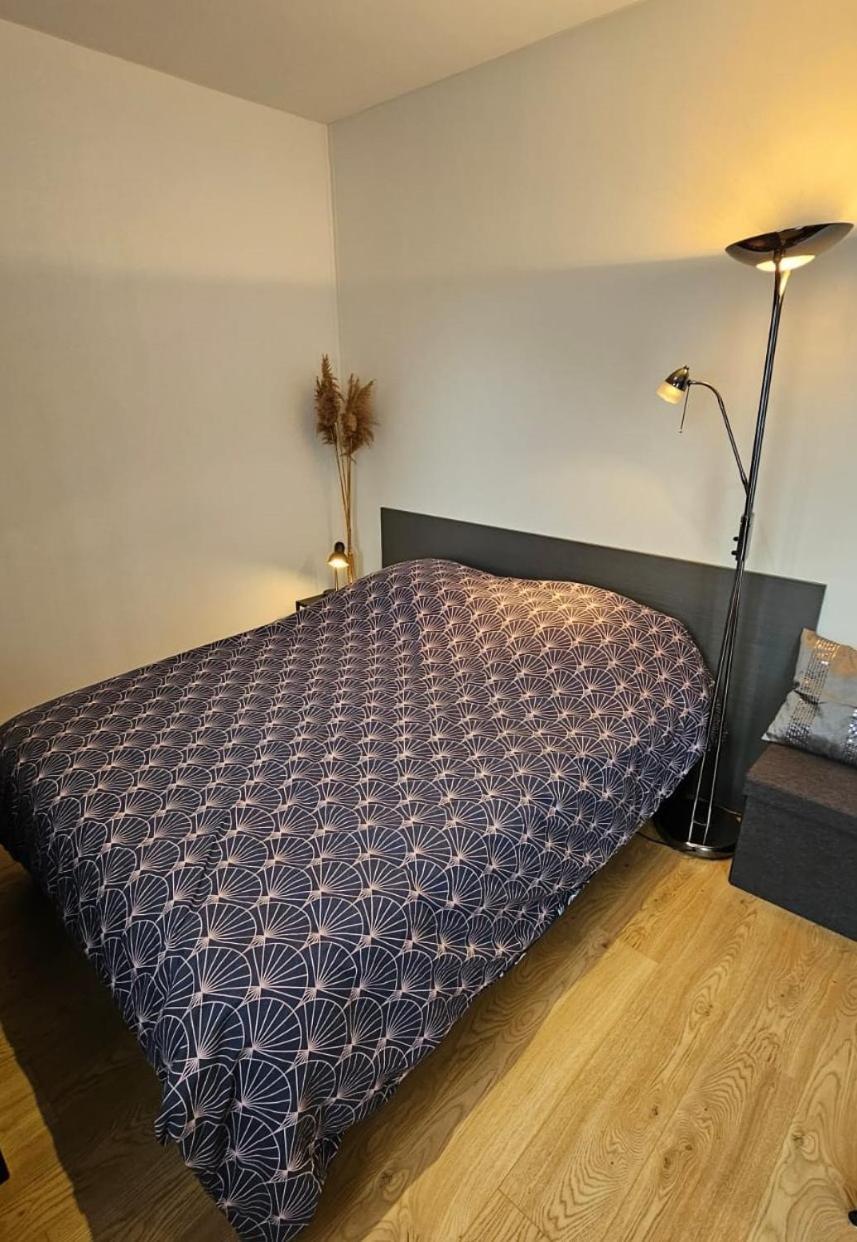 Appartement Les Deux Grenouilles 5mn De Colmar Herrlisheim-près-Colmar